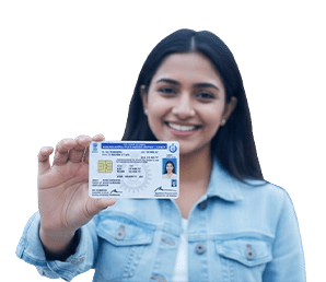 License Assistance